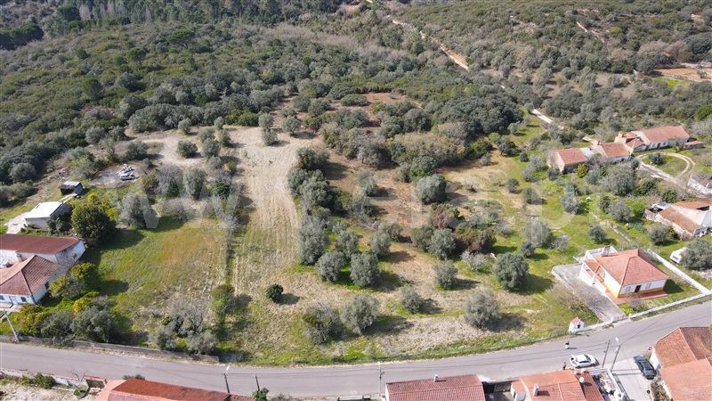 Terreno  Tomar, Madalena e Beselga - 1230150 - 5