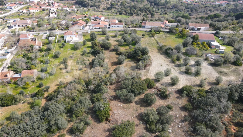 Terreno  Tomar, Madalena e Beselga - 1230150 - 6