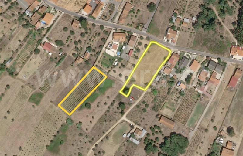 Terreno para Construção / Tomar, Madalena e Beselga