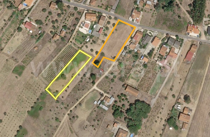 Terreno para Construção / Tomar, Madalena e Beselga