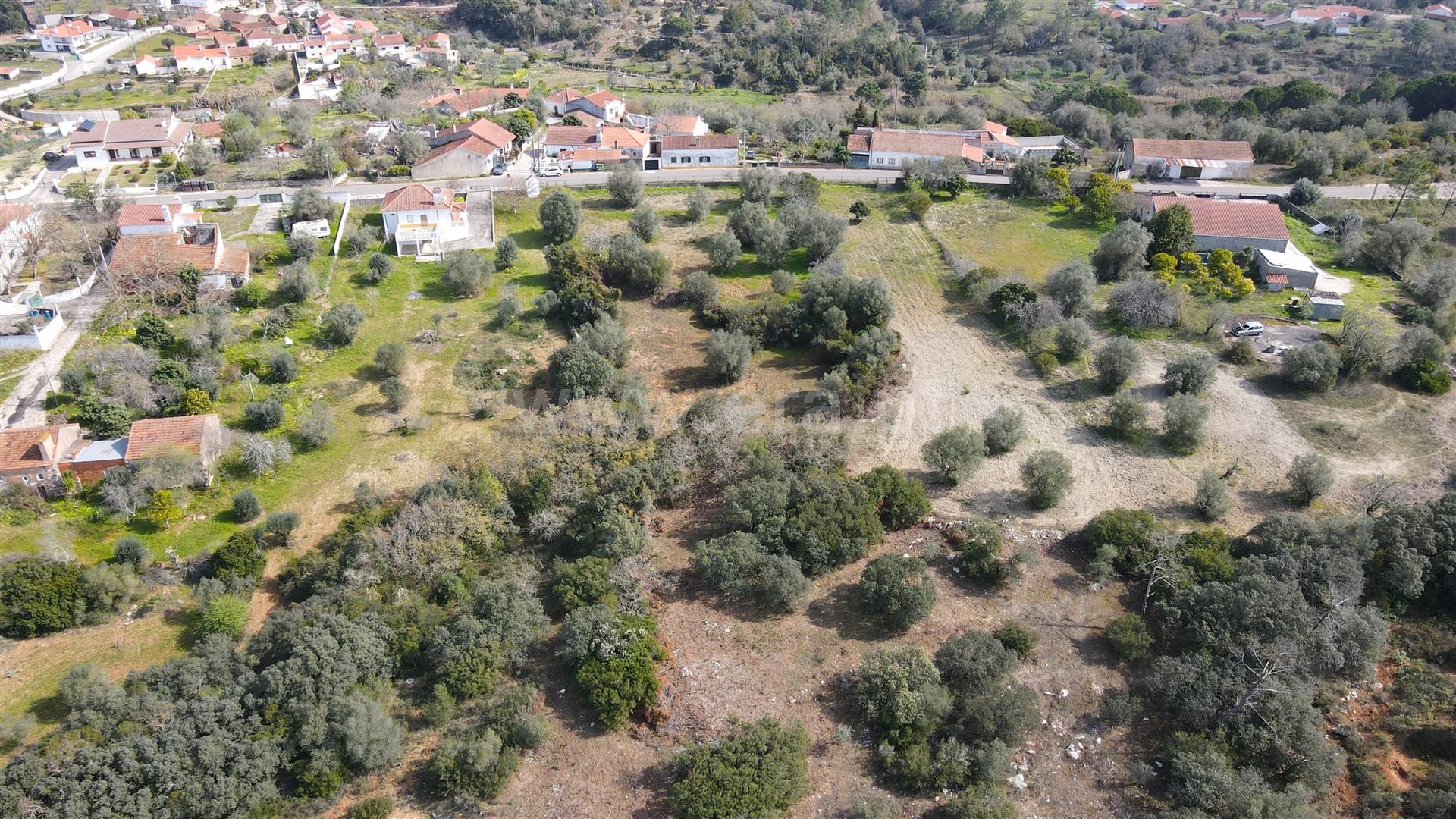 Land for sale in Tomar, Portugal — €900,000