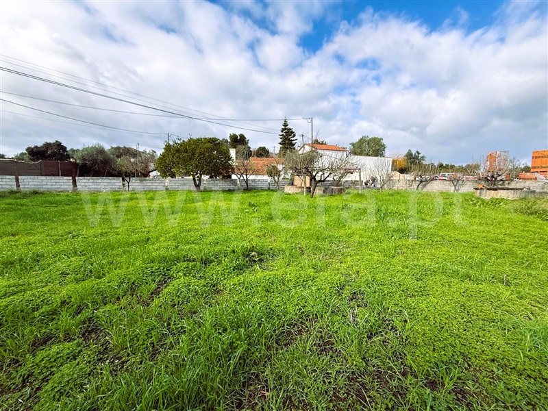 Terreno para Construção / Tomar, Paialvo