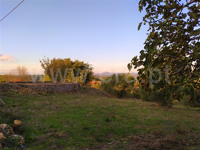 Terreno para Construção / Tomar, Sabacheira