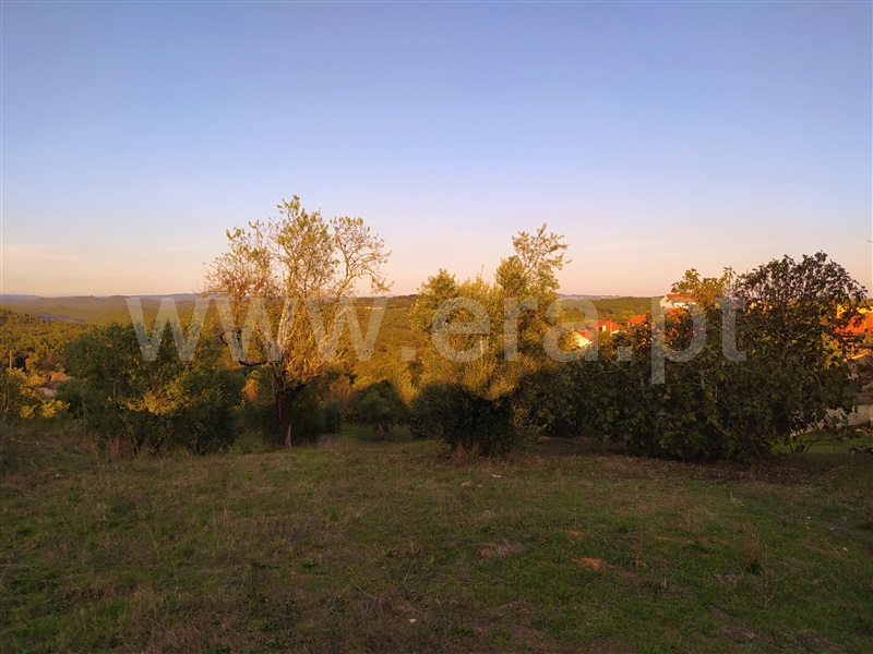 Terreno para Construção  Tomar, Sabacheira - 1123707 - 3
