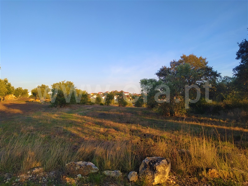 Terreno para Construção / Tomar, Sabacheira