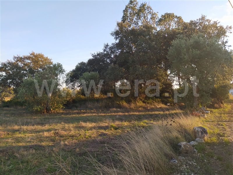 Terreno para Construção  Tomar, Sabacheira - 1123763 - 3