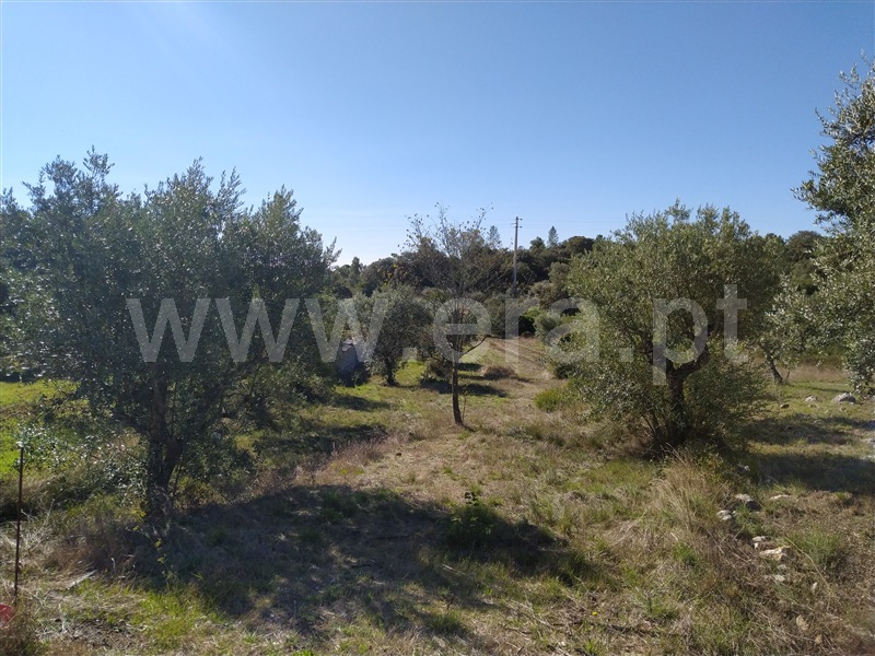 Terreno para Construção / Tomar, Sabacheira