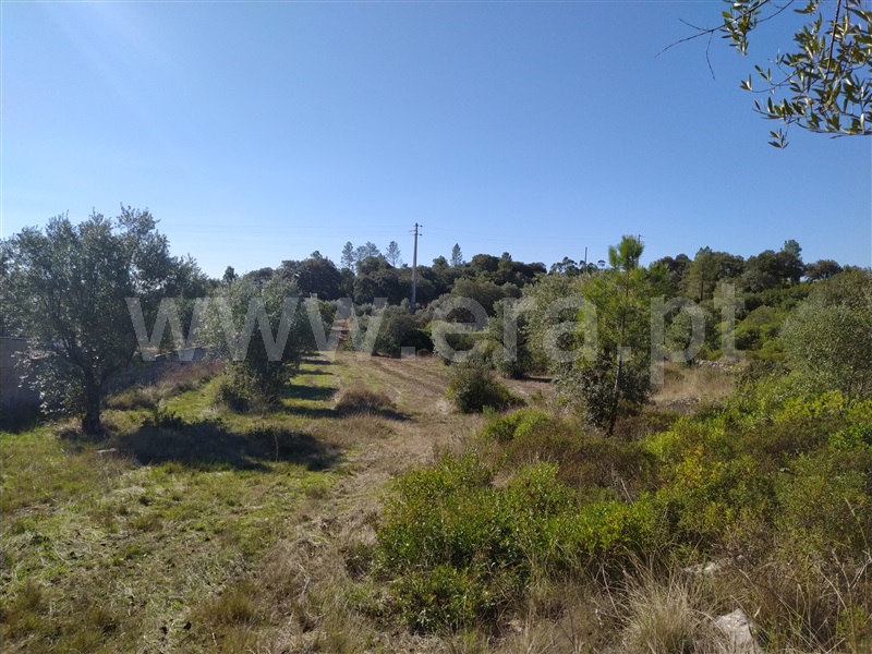 Terreno para Construção  Tomar, Sabacheira - 1124451 - 2