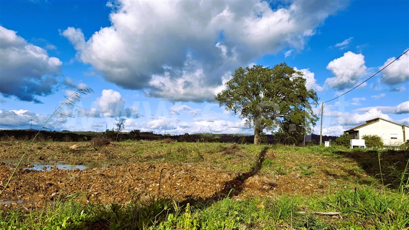 Terreno para Construção / Tomar, São Pedro de Tomar