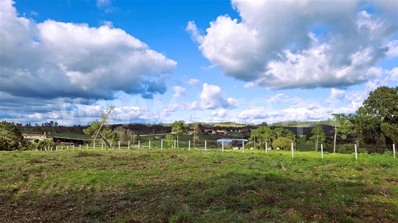 Terreno para Construção  Tomar, São Pedro de Tomar - 1467196 - 2