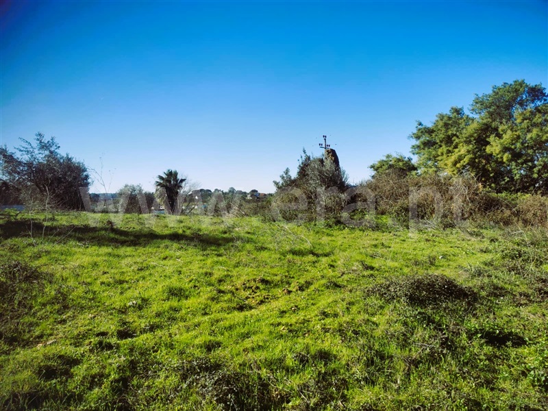 Terreno para Construção / Tomar, São Pedro de Tomar
