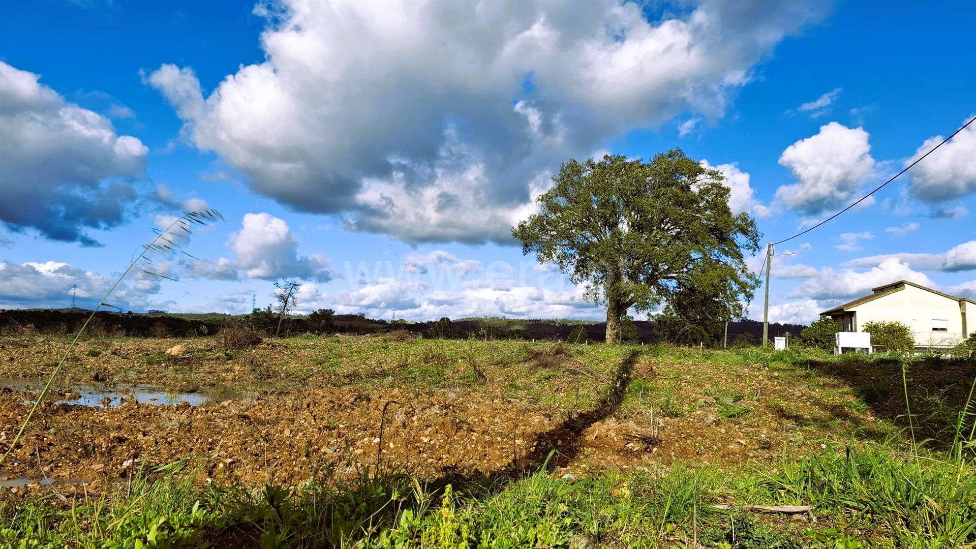 Land for sale in Tomar, Portugal — €125,000