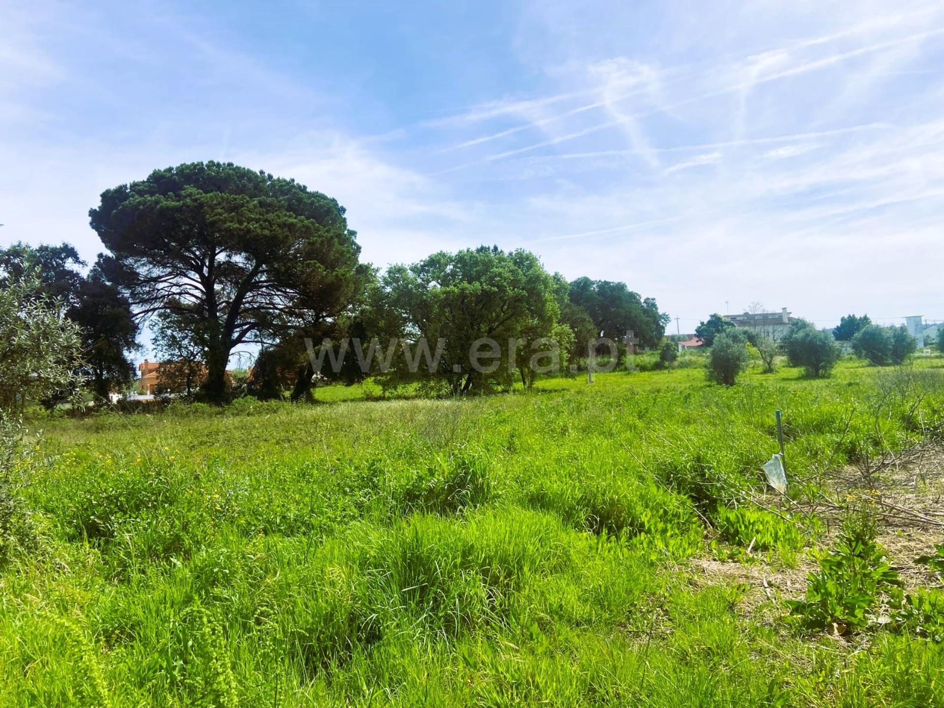 Land for sale in Tomar, Portugal — €70,000