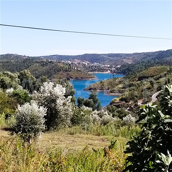 Terreno para Construção / Tomar, Serra e Junceira