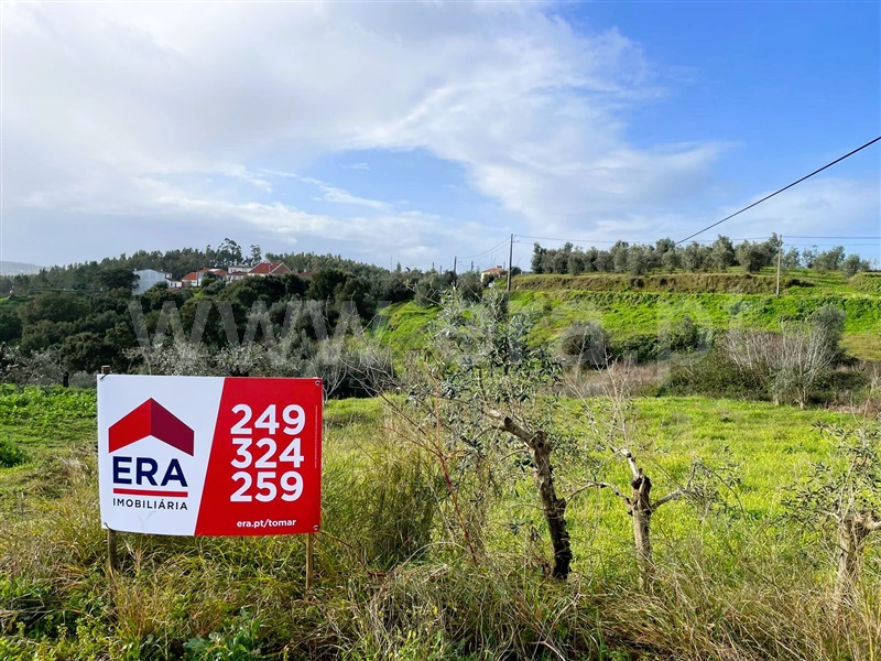 Terreno para Construção  Tomar, Serra e Junceira - 1437734 - 4