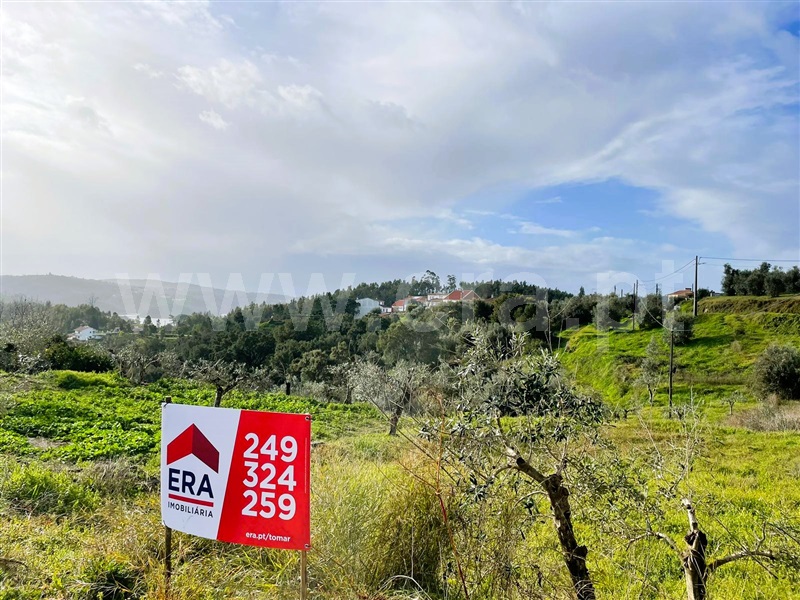 Terreno para Construção  Tomar, Serra e Junceira - 1437734 - 5
