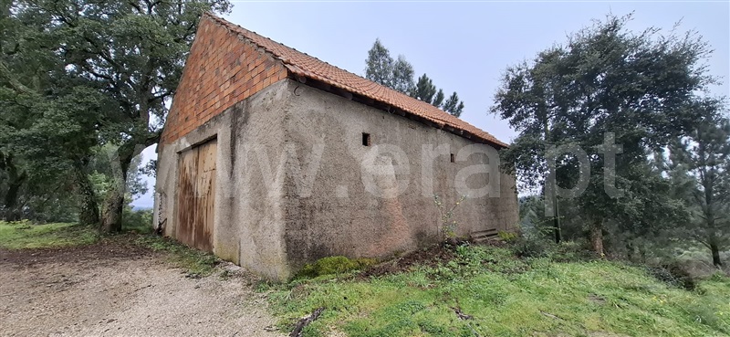 Terreno para Construção / Tomar, Serra e Junceira