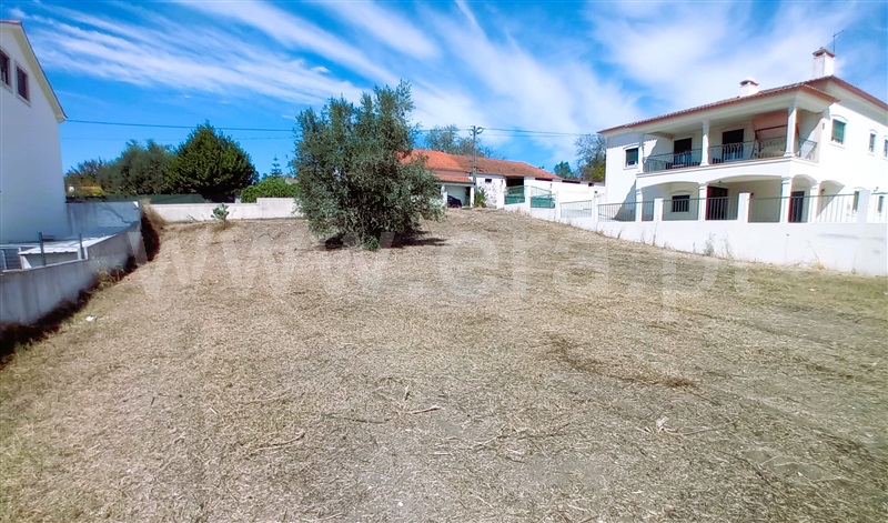 Terreno para Construção / Tomar, Serra e Junceira