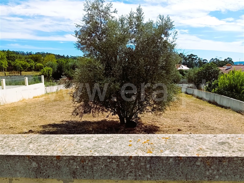 Terreno para Construção  Tomar, Serra e Junceira - 1506172 - 3