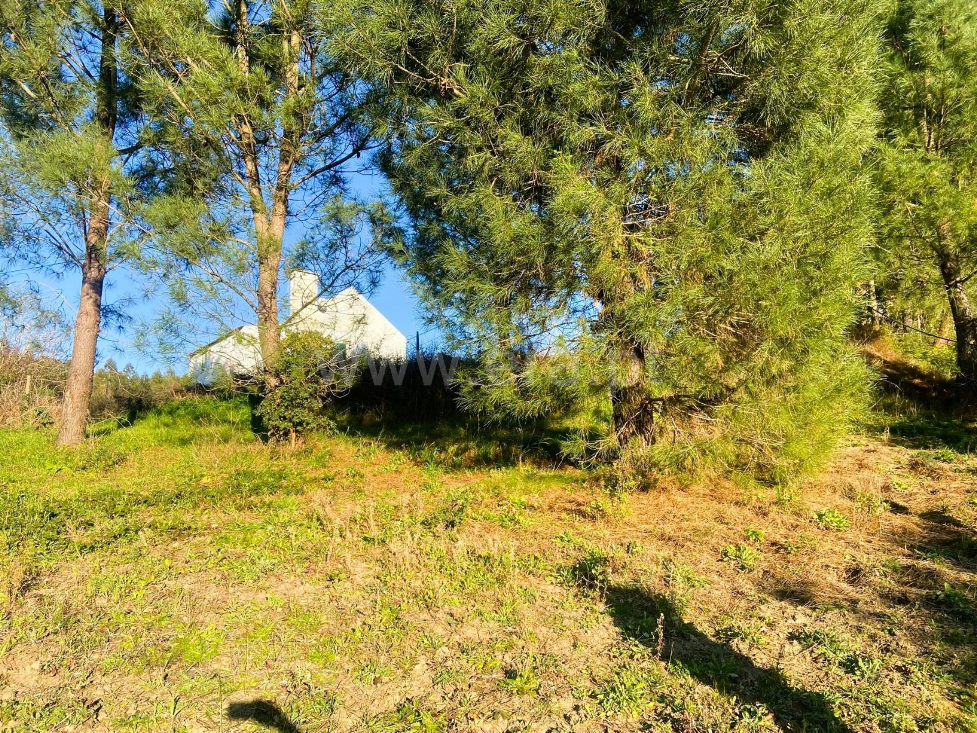 Land for sale in Tomar, Portugal — €58,000