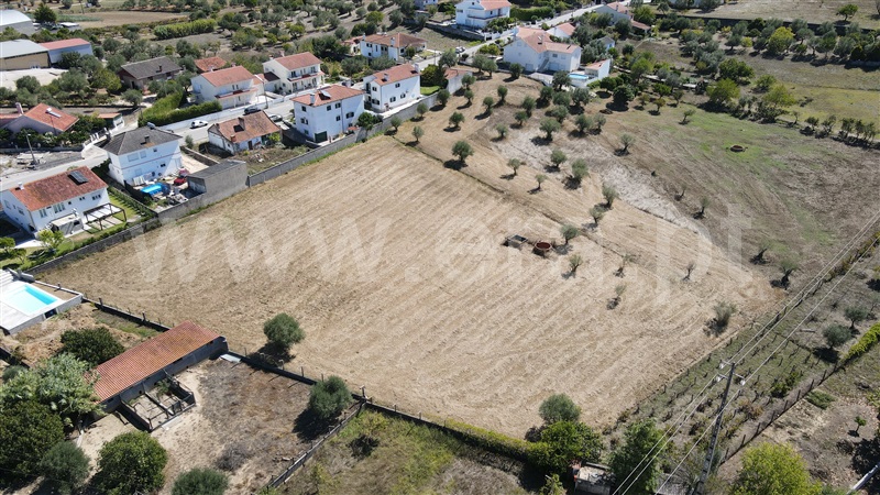 Terreno para Construção / Tomar, Tomar (São João Baptista) e Santa Maria dos Olivais