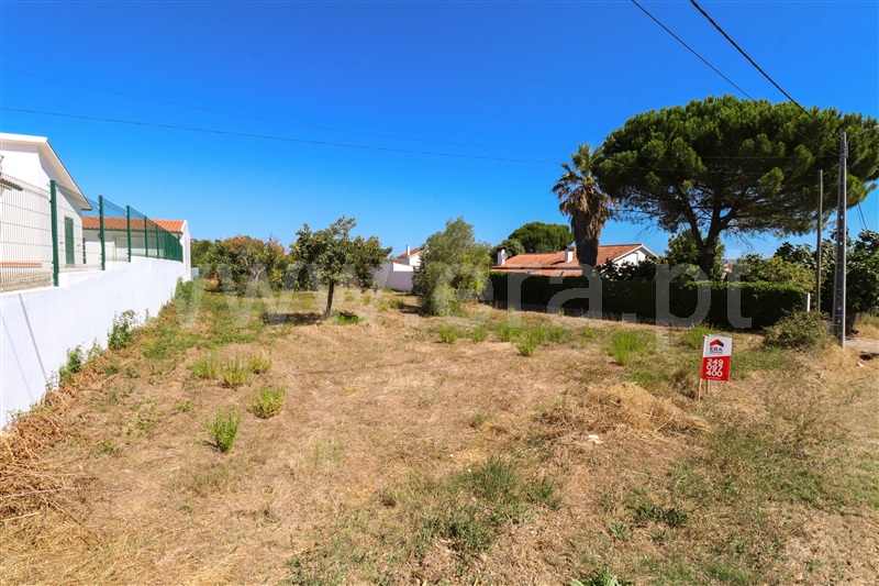 Terreno para Construção  Tomar, Tomar (São João Baptista) e Santa Maria dos Olivais - 1271418 - 13