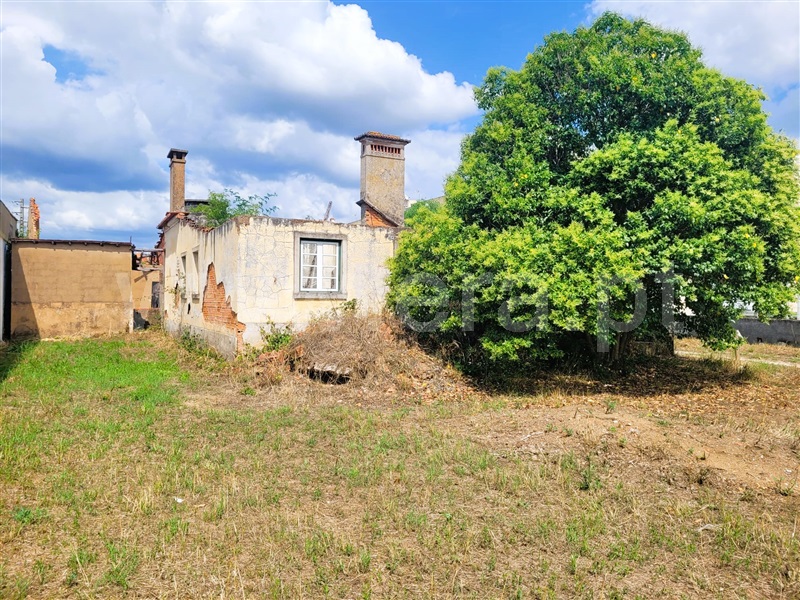 Terreno com ruina  Tomar, Tomar (São João Baptista) e Santa Maria dos Olivais - 1340363 - 1