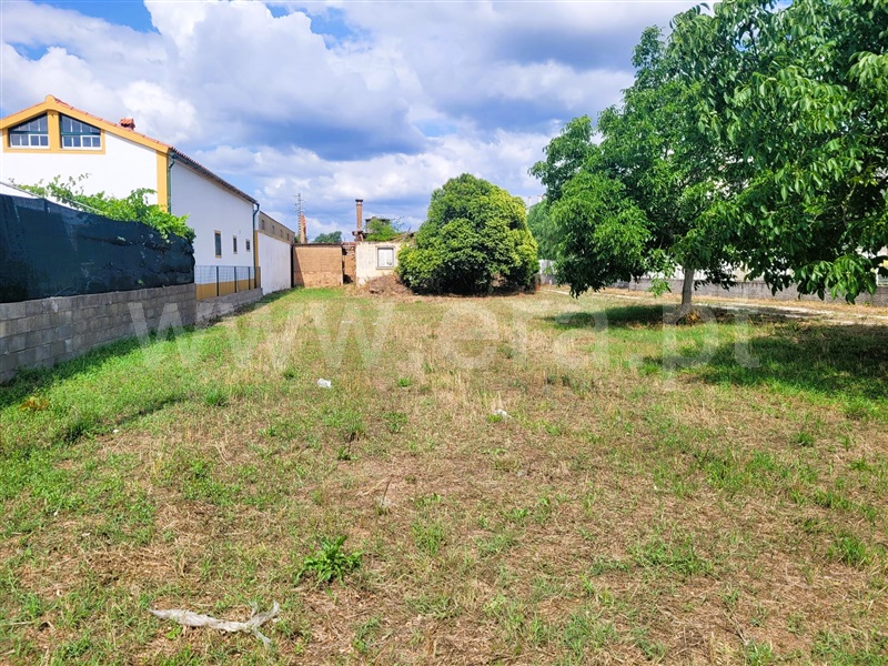 Terreno para Construção / Tomar, Tomar (São João Baptista) e Santa Maria dos Olivais