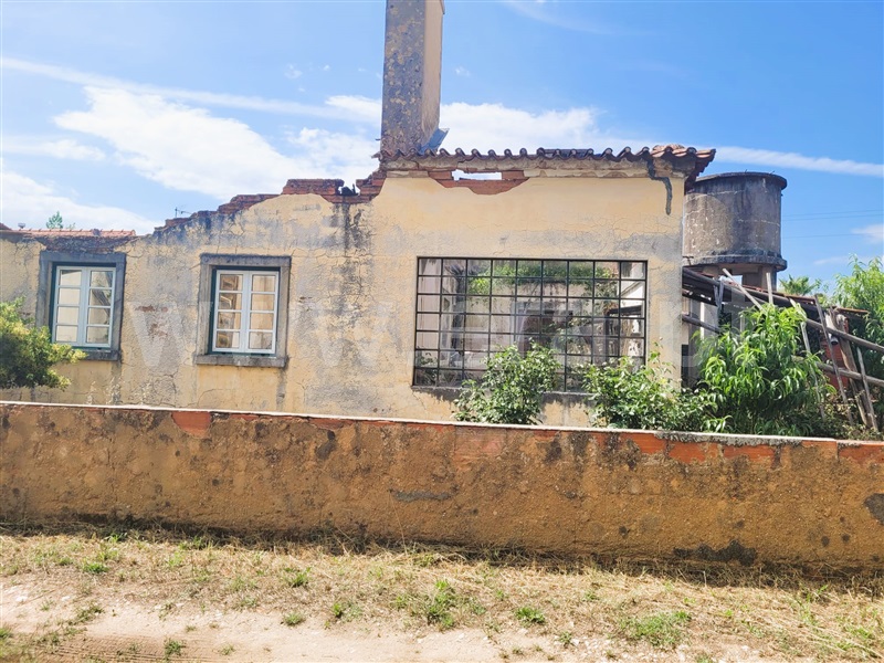 Terreno com ruina  Tomar, Tomar (São João Baptista) e Santa Maria dos Olivais - 1340363 - 5