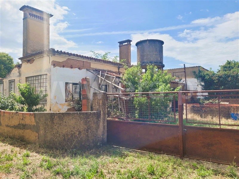 Terreno com ruina  Tomar, Tomar (São João Baptista) e Santa Maria dos Olivais - 1340363 - 6