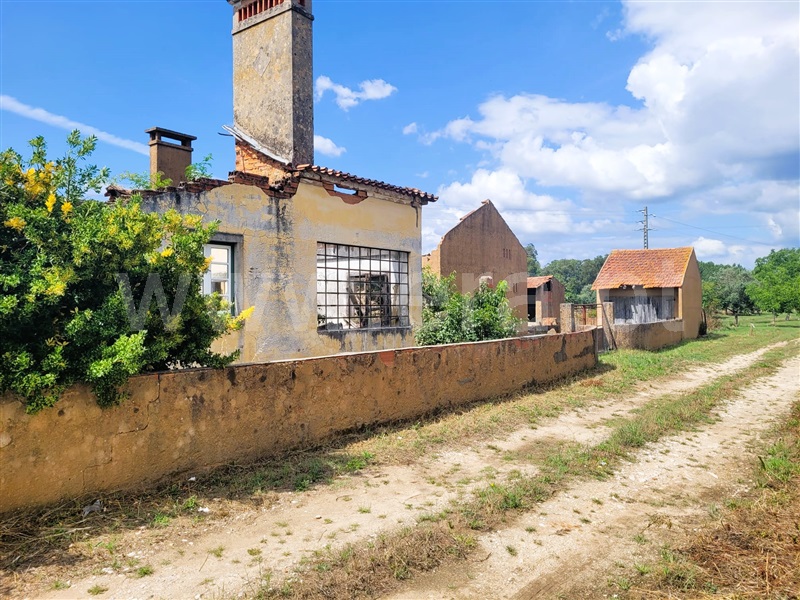 Terreno com ruina  Tomar, Tomar (São João Baptista) e Santa Maria dos Olivais - 1340363 - 8