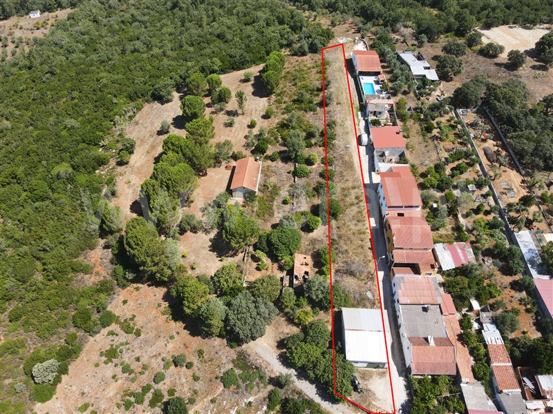 Terreno para Construção / Tomar, Tomar (São João Baptista) e Santa Maria dos Olivais