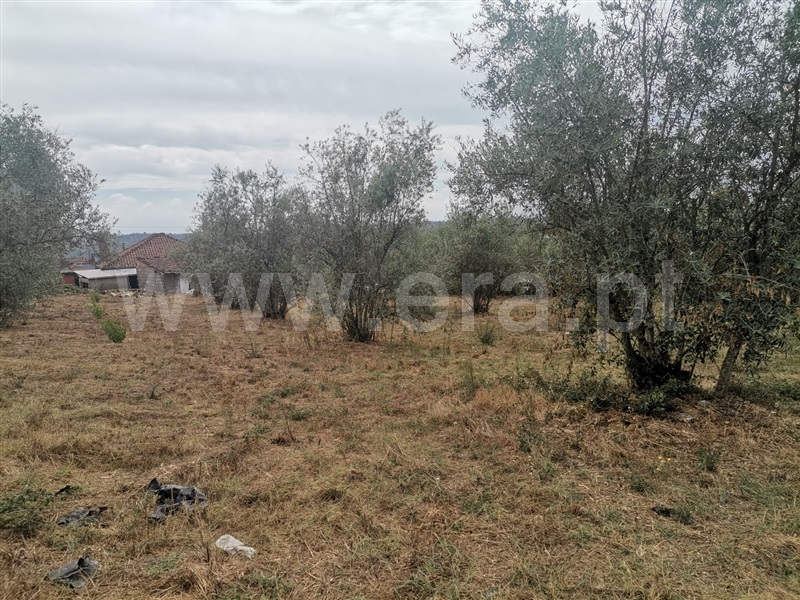 Terreno para Construção  Tondela, Parada de Gonta - 1503127 - 1