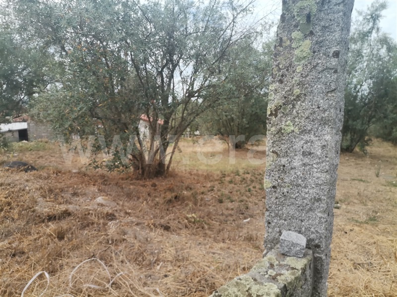 Terreno para Construção  Tondela, Parada de Gonta - 1503127 - 5