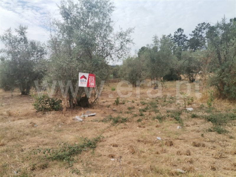 Terreno para Construção / Tondela, Parada de Gonta