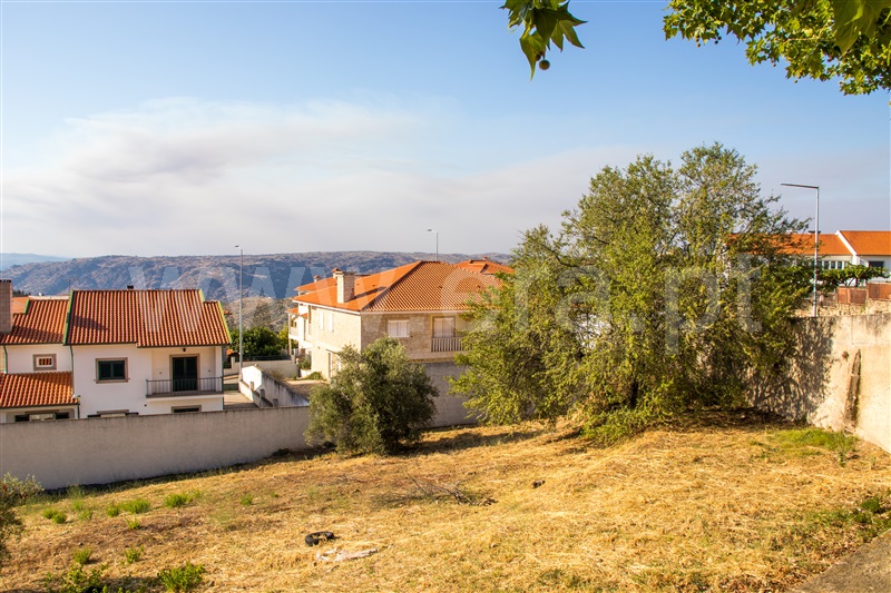 Lote  Torre de Moncorvo - 1291783 - 3