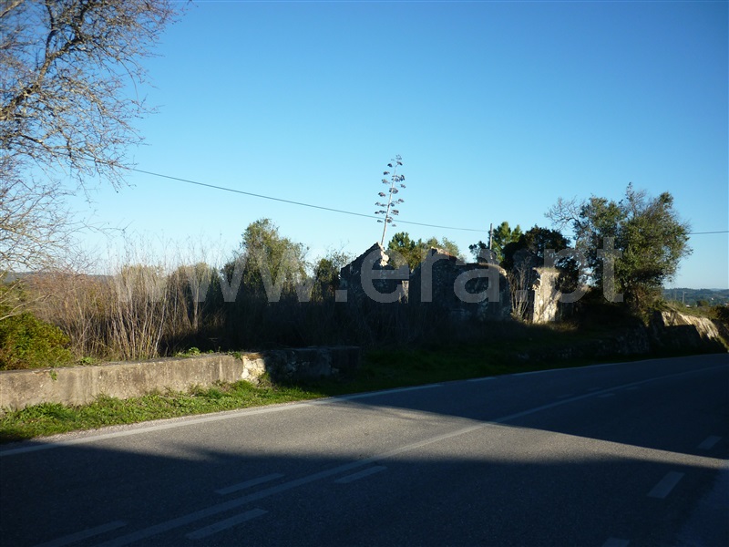 Terreno para Construção  Torres Novas, Assentiz - 785316 - 3