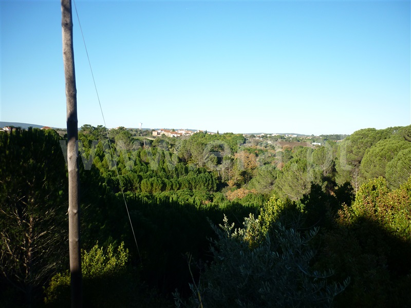 Terreno para Construção  Torres Novas, Assentiz - 785316 - 1