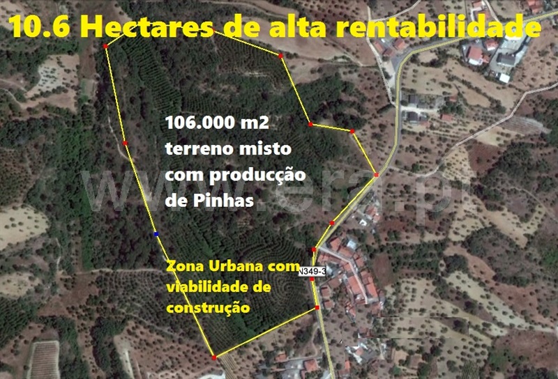 Terreno para Construção / Torres Novas, Assentiz
