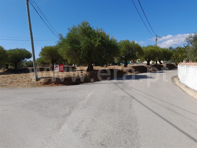 Terreno para Construção / Torres Novas, Assentiz