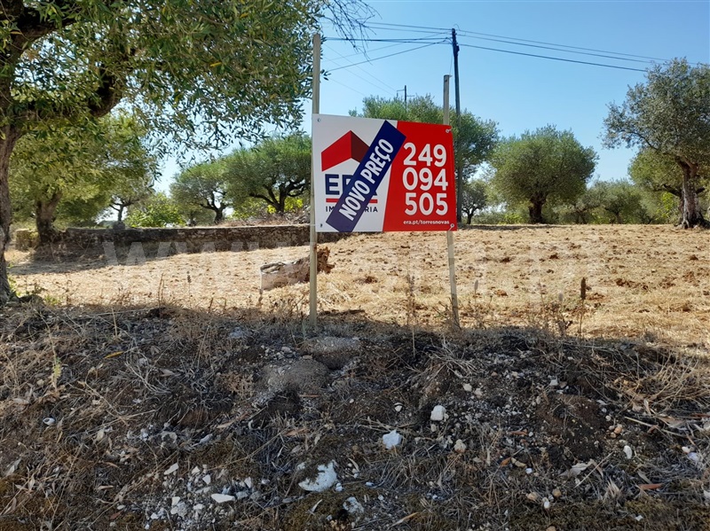 Terreno para Construção  Torres Novas, Assentiz - 938696 - 3