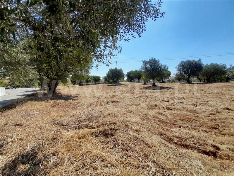 Terreno para Construção  Torres Novas, Assentiz - 938696 - 4
