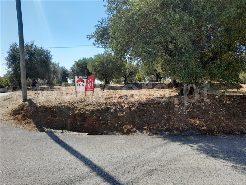 Terreno para Construção  Torres Novas, Assentiz - 938696 - 5