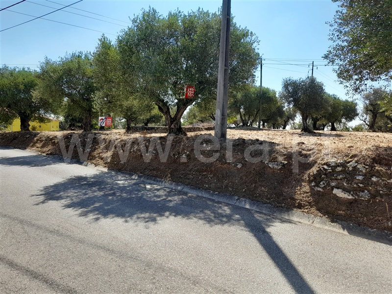 Terreno para Construção  Torres Novas, Assentiz - 938696 - 6