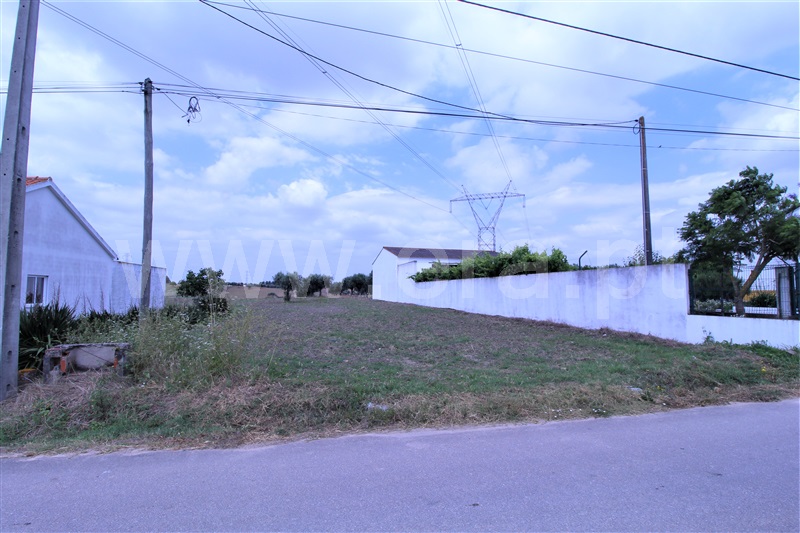 Terreno para Construção / Torres Novas, Brogueira, Parceiros de Igreja e Alcorochel