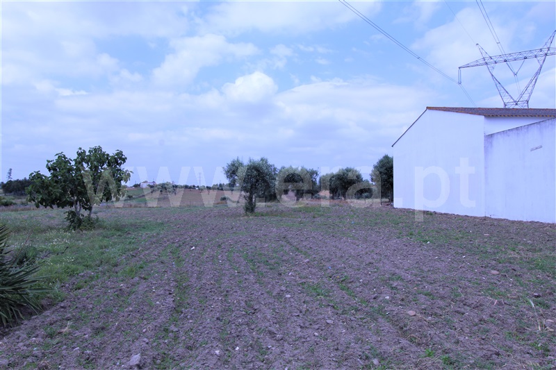 Terreno para Construção  Torres Novas, Brogueira, Parceiros de Igreja e Alcorochel - 1174013 - 2