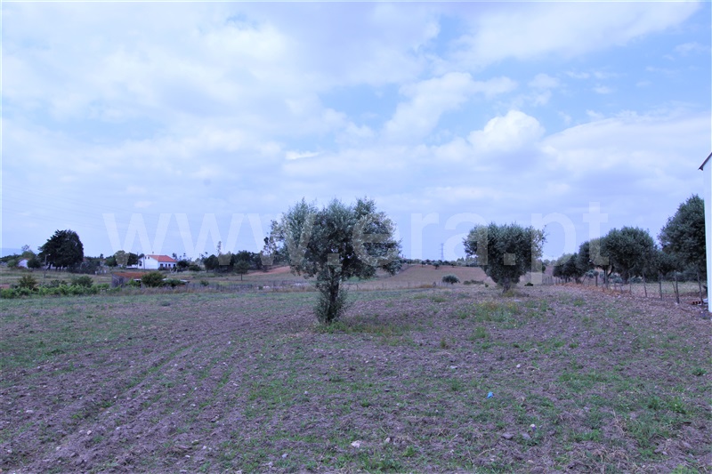Terreno para Construção  Torres Novas, Brogueira, Parceiros de Igreja e Alcorochel - 1174013 - 3