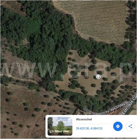 Terreno  Torres Novas, Brogueira, Parceiros de Igreja e Alcorochel - 1296138 - 1
