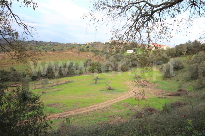 Terreno para Construção / Torres Novas, Brogueira, Parceiros de Igreja e Alcorochel