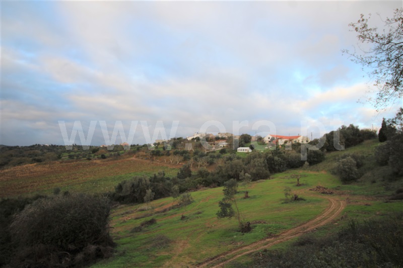 Terreno  Torres Novas, Brogueira, Parceiros de Igreja e Alcorochel - 1296138 - 4